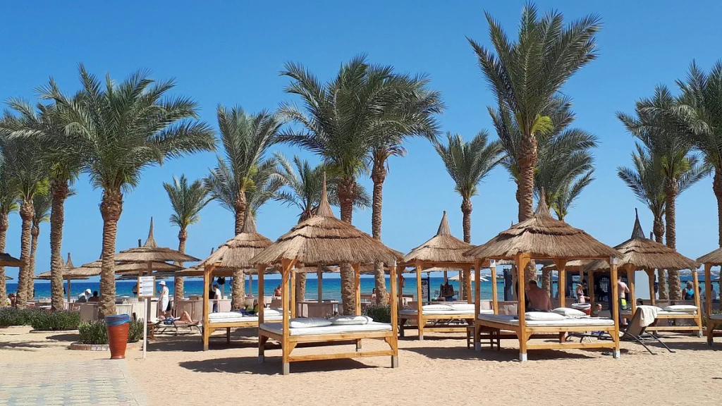 الفندق الباتروس بالاس (للعائلات فقط) - شرم الشيخ